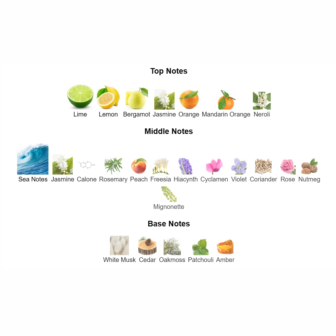 screenshot 2025-09-07 182316-1-outlet90-com