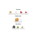 71uwxbd6nml._ac_sx679_-2-outlet90-com