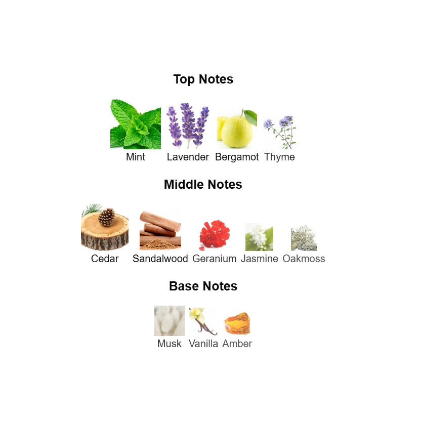 screenshot 2025-09-07 190819-2-outlet90-com