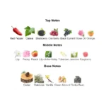 s-l1600 (1)-1-outlet90-com