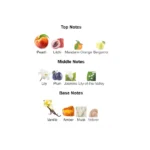 375×500.698.2x-3-outlet90-com