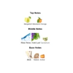 375×500.35601.2x-3-outlet90-com