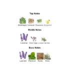 s-l1600 (1)-1-outlet90-com