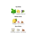 51b6bakxeol._ac_sx679_-1-outlet90-com