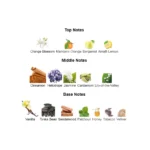 71z4iesg2el_1800x1800-2-outlet90-com