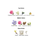 419robgld0l._ac_-2-outlet90-com