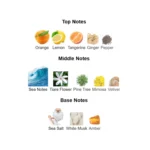 375×500.74636.2x-3-outlet90-com