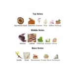 375×500.84246.2x-3-outlet90-com