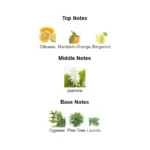 s-l1600 (1)-1-outlet90-com