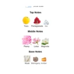 51fnbqbwx5l._ac_sy879_-2-outlet90-com