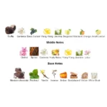 518s6-1qwvl._ac_sl1000_-6-outlet90-com