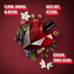 61axivpxsql._ac_sl1500_-7-outlet90-com