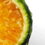 51tt2yflrjl._ac_sl1400_-6-outlet90-com