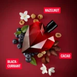 61axivpxsql._ac_sl1500_-7-outlet90-com