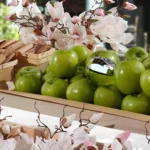 71toivdvmdl._ac_sl1500_-7-outlet90-com