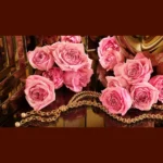 51uaku2uyjl._ac_sl1500_-9-outlet90-com