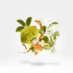 naxos-837771-5-outlet90-com