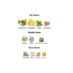 375×500.3300.2x-2-outlet90-com