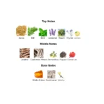 375×500.49503.2x-2-outlet90-com