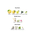 375×500.72842.2x-2-outlet90-com