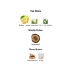 375×500.92889.2x-2-outlet90-com