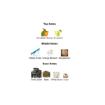 375×500.43131.2x-2-outlet90-com