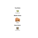 375×500.66826.2x-5-outlet90-com