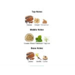 375×500.72361.2x-4-outlet90-com