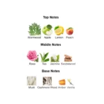 375×500.17320.2x-2-outlet90-com