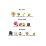 375×500.1115.2x-3-outlet90-com