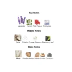 a1-qgp3j5nl._ac_sx679_-3-outlet90-com