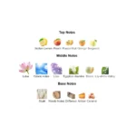 375×500.29562.2x-3-outlet90-com