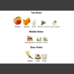 375×500.818.2x-6-outlet90-com