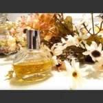 375×500.818.2x-6-outlet90-com