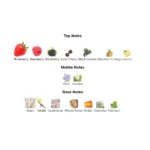 375×500.51694.2x-2-outlet90-com