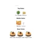 375×500.75182.2x-4-outlet90-com