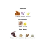 375×500.804.2x-3-outlet90-com