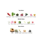 375×500.814.2x-2-outlet90-com