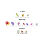 375×500.1000.2x-2-outlet90-com