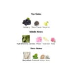 goldea-the-roman-night-sensual-edp-l-bvlgari-457774-4-outlet90-com