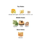 51u5e8odc8l._sl1200-3-outlet90-com