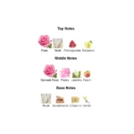 41it8wk6wds._ac_-1-outlet90-com