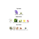 375×500.24734.2x-2-outlet90-com