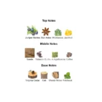 375×500.6281.2x-3-outlet90-com