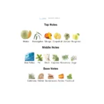 375×500.272.2x-2-outlet90-com