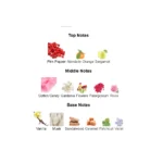 375×500.306.2x-6-outlet90-com