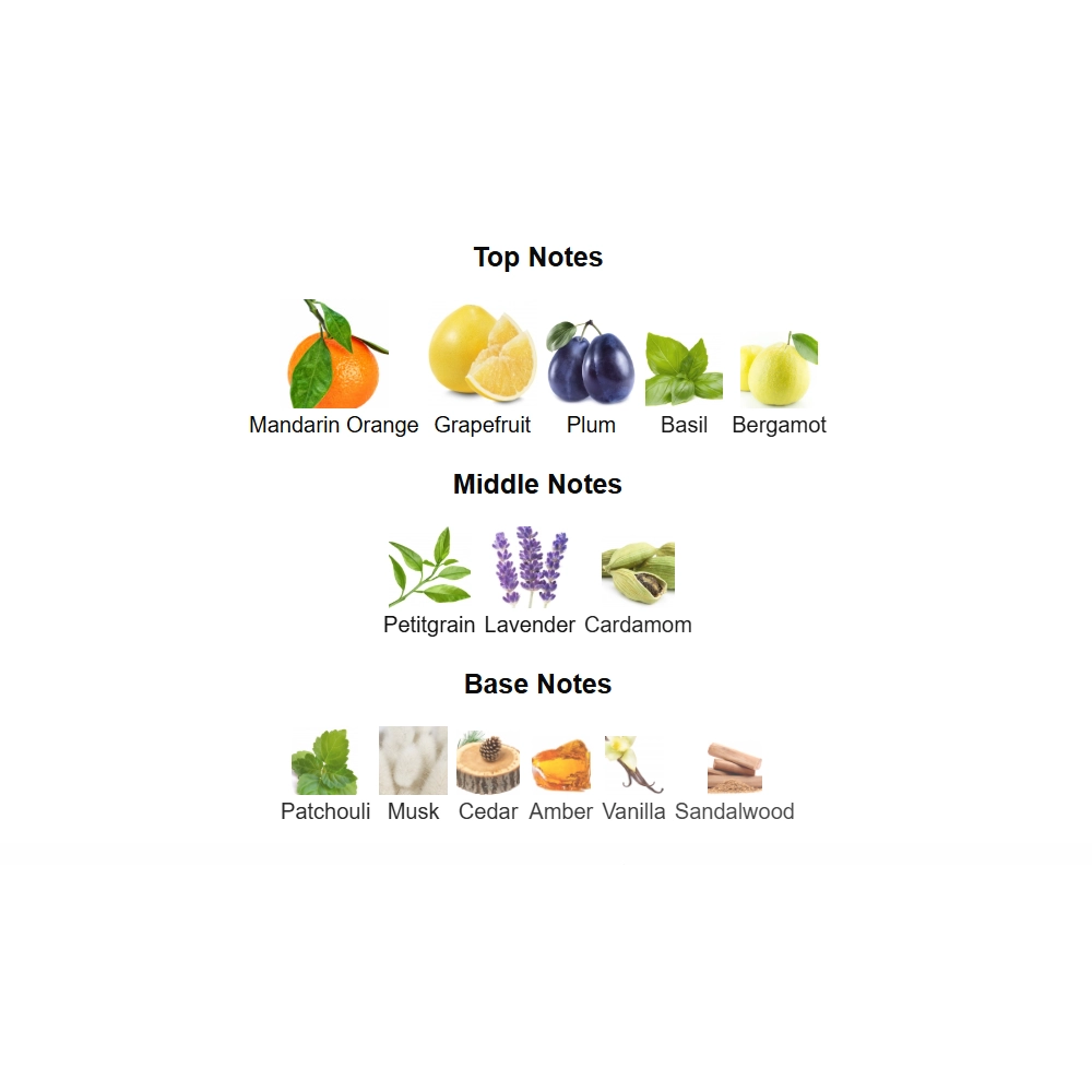 screenshot 2025-12-07 195239-2-outlet90-com