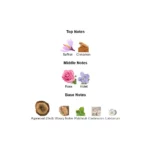 375×500.50015.2x-4-outlet90-com