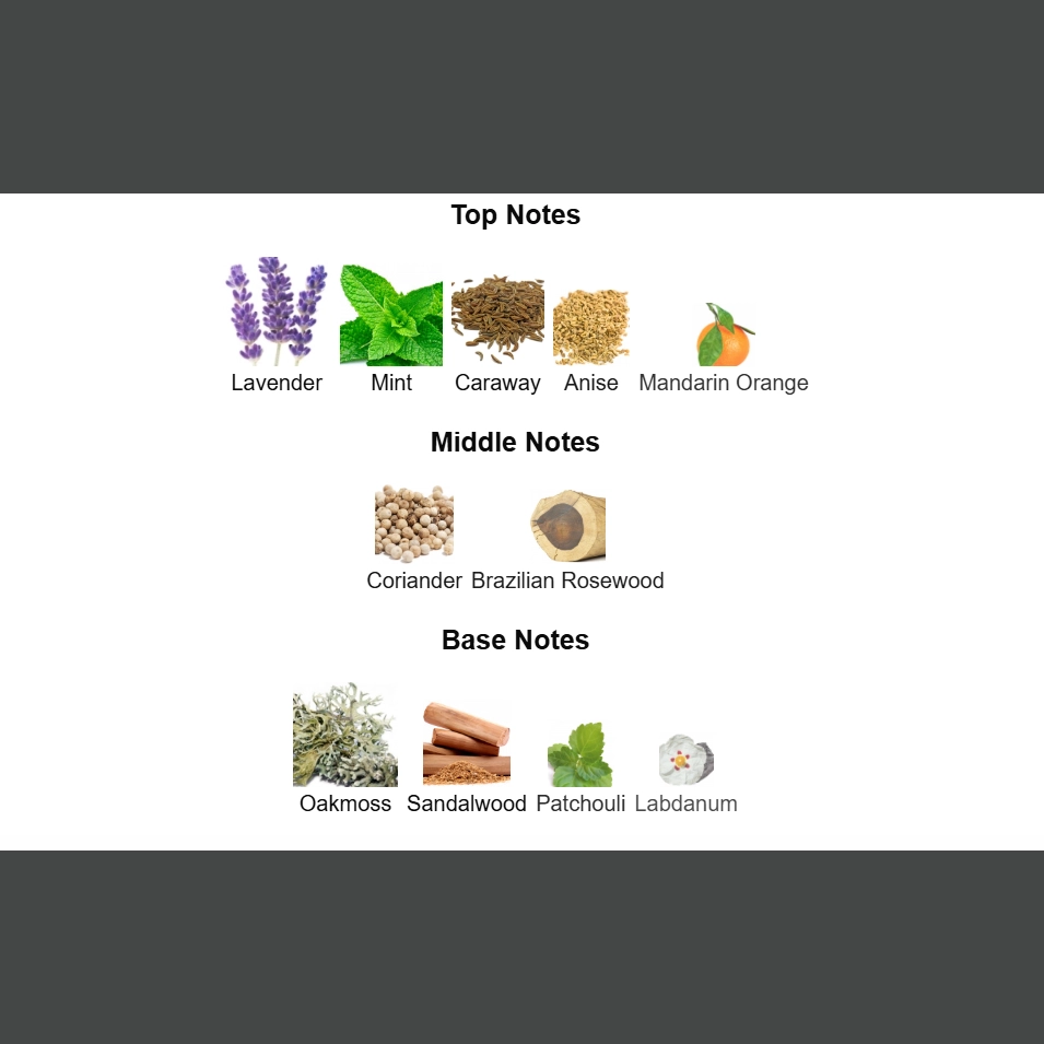 screenshot 2025-12-09 153606-2-outlet90-com