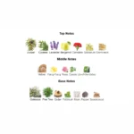 cerruti-1881-eau-de-toilette-for-men-5222538-3-outlet90-com